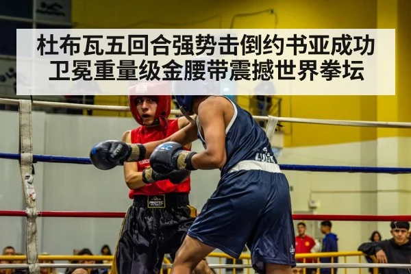 杜布瓦五回合强势击倒约书亚成功卫冕重量级金腰带震撼世界拳坛