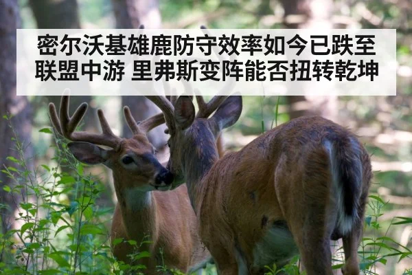 密尔沃基雄鹿防守效率如今已跌至联盟中游 里弗斯变阵能否扭转乾坤